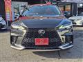 2025 Lexus RX