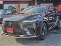2025 Lexus RX