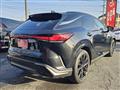 2025 Lexus RX