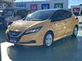 2021 Nissan Leaf