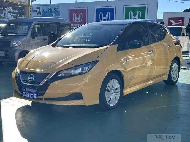 2021 Nissan Leaf