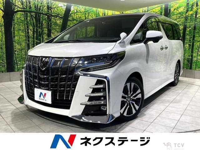 2019 Toyota Alphard G