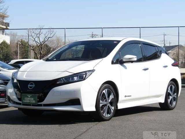 2021 Nissan Leaf