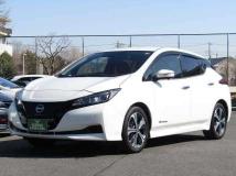 2021 Nissan Leaf