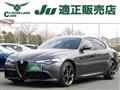 2022 Alfa Romeo Alfa Romeo Others