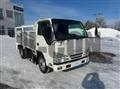 2019 Isuzu Elf Truck