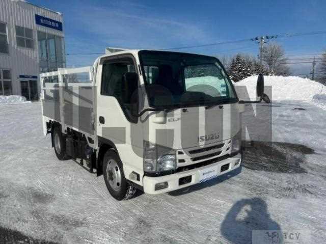 2019 Isuzu Elf Truck