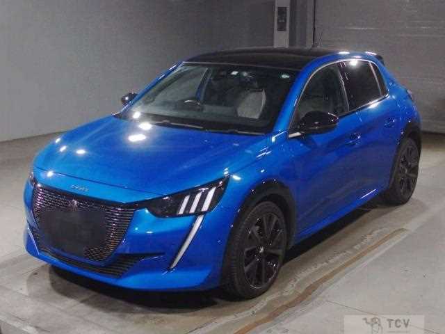 2021 Peugeot Peugoet Others