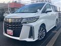 2021 Toyota Alphard G