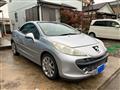 2009 Peugeot 207