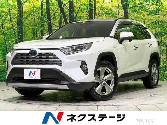 2020 Toyota RAV4