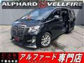 2016 Toyota Alphard G