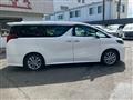 2021 Toyota Alphard G