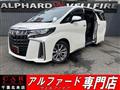 2020 Toyota Alphard G