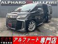 2020 Toyota Alphard G