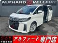 2019 Toyota Alphard G