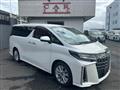 2019 Toyota Alphard G