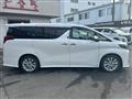2019 Toyota Alphard G