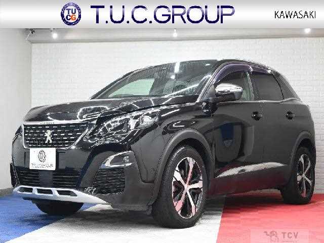 2019 Peugeot Peugoet Others