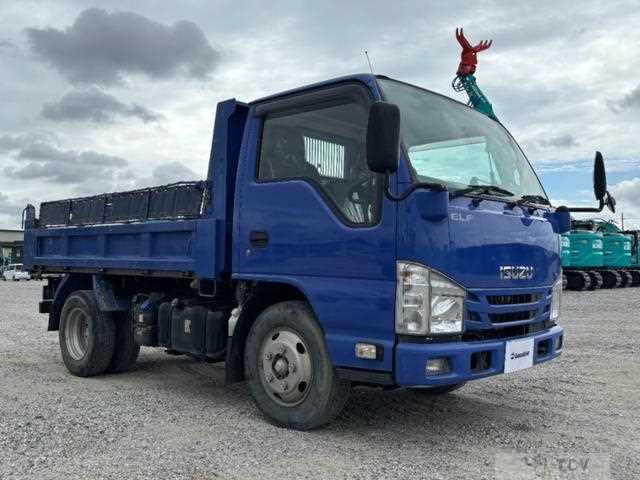 2020 Isuzu Elf Truck