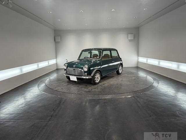 1995 Rover Mini