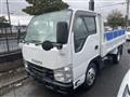 2019 Isuzu Elf Truck