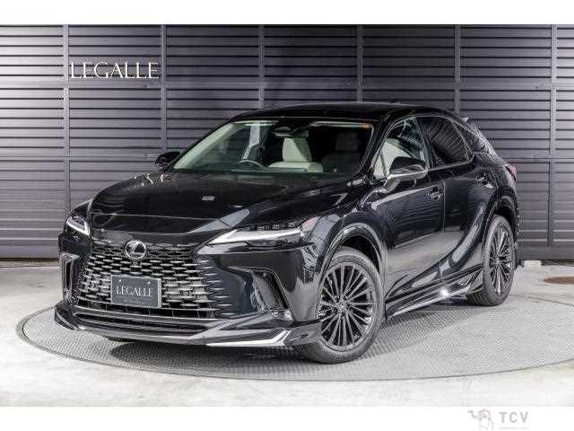 2025 Lexus RX