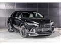 2025 Lexus RX