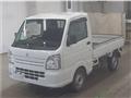 2021 Suzuki Carry Truck
