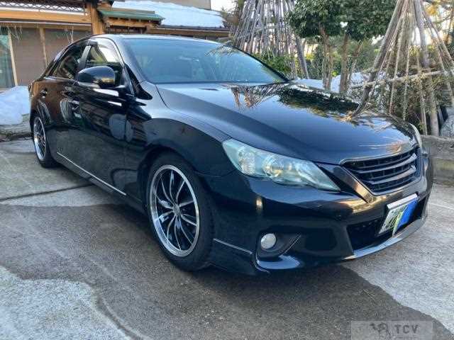 2010 Toyota Mark X