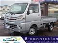 2019 Daihatsu Hijet Truck