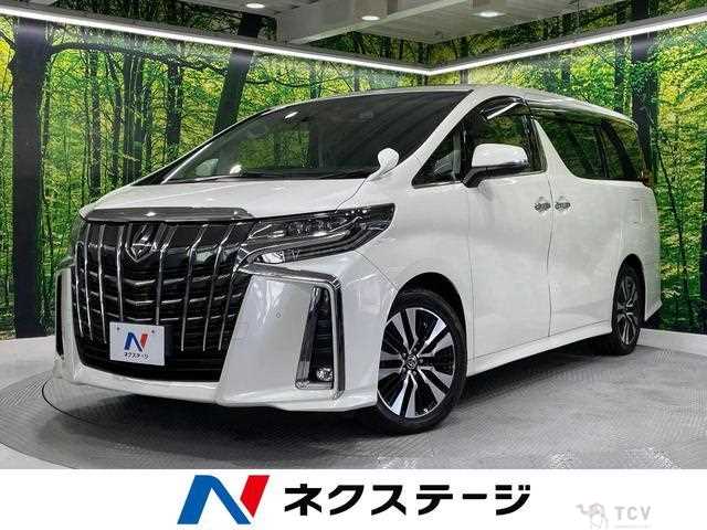 2019 Toyota Alphard G