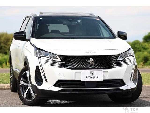 2021 Peugeot Peugoet Others