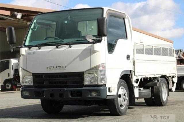 2009 Isuzu Elf Truck