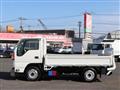 2017 Isuzu Elf Truck