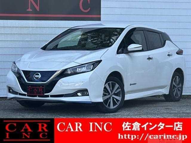 2020 Nissan Leaf