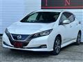 2020 Nissan Leaf