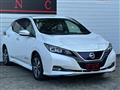 2020 Nissan Leaf