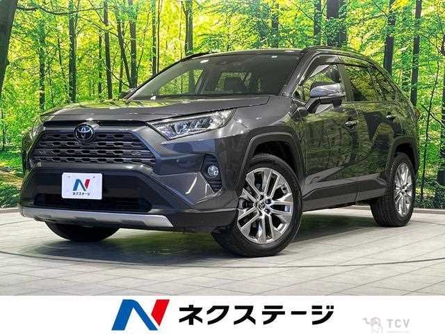 2020 Toyota RAV4