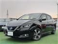 2018 Nissan Leaf