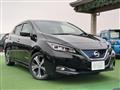 2018 Nissan Leaf