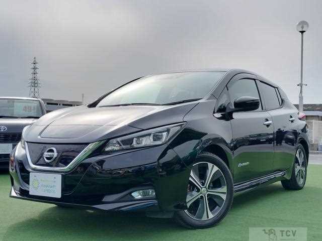 2019 Nissan Leaf