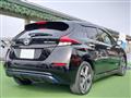 2019 Nissan Leaf