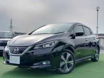 2019 Nissan Leaf