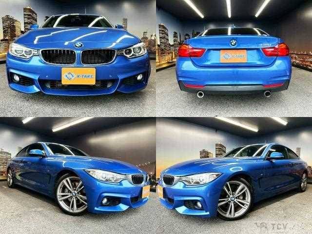2015 BMW BMW Others
