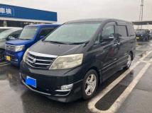 2007 Toyota Alphard G