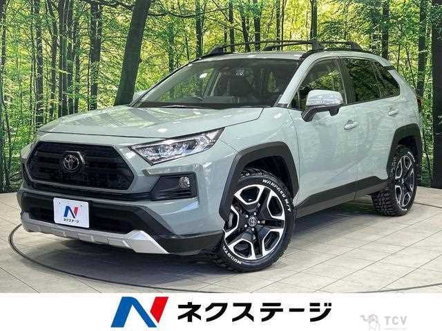 2019 Toyota RAV4