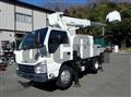 2009 Isuzu Elf Truck