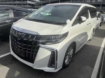 2019 Toyota Alphard G