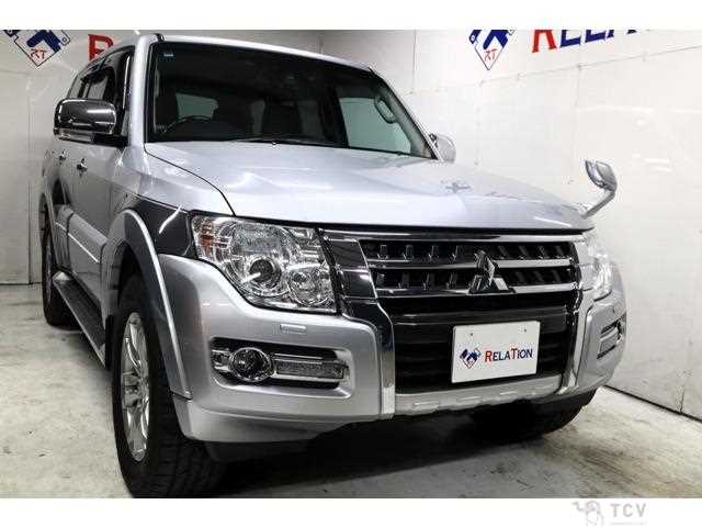 2016 Mitsubishi Pajero